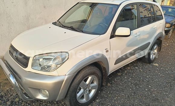 Buy Import Toyota RAV4 White Car in Douala in Littoral Cameroon