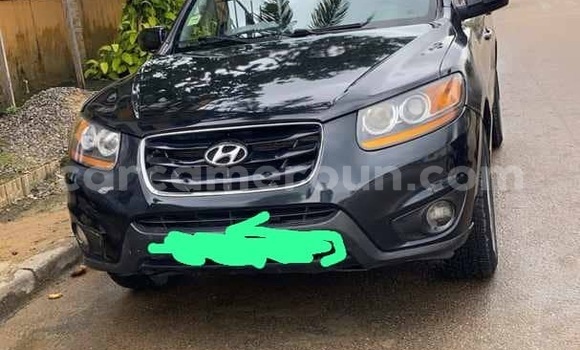 Acheter Import Voiture Hyundai Santa Fe Noir à Douala, Littoral Cameroon
