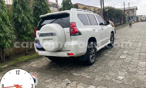 Buy New Toyota Prado White Car in Douala in Littoral Cameroon Buy New Toyota Prado White Car in Douala in Littoral Cameroon
