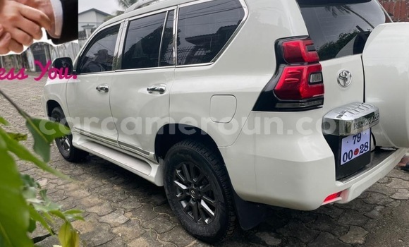 Buy New Toyota Prado White Car in Douala in Littoral Cameroon Buy New Toyota Prado White Car in Douala in Littoral Cameroon