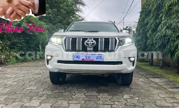 Buy New Toyota Prado White Car in Douala in Littoral Cameroon Buy New Toyota Prado White Car in Douala in Littoral Cameroon