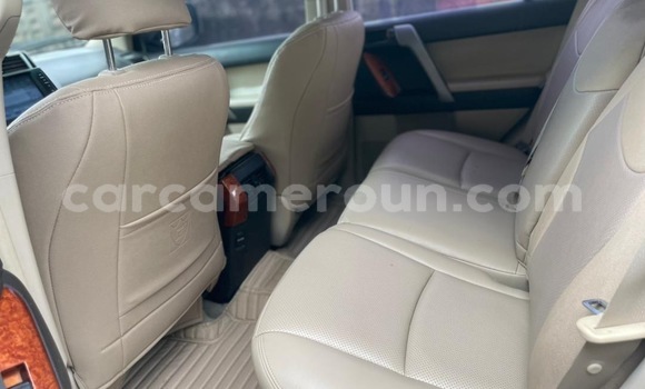 Buy New Toyota Prado White Car in Douala in Littoral Cameroon Buy New Toyota Prado White Car in Douala in Littoral Cameroon