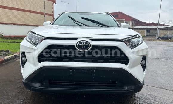 Buy New Toyota RAV4 White Car in Douala in Littoral Cameroon