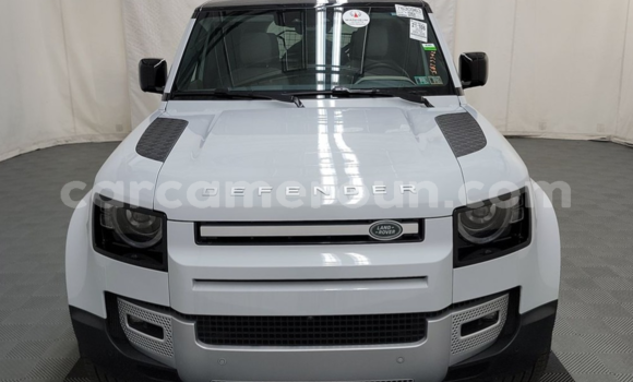 Acheter Import Voiture Range Rover Range Rover Blanc à Douala, Littoral Cameroon