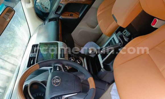 Buy New Toyota Prado Black Car in Yaounde in Central Cameroon Buy New Toyota Prado Black Car in Yaounde in Central Cameroon