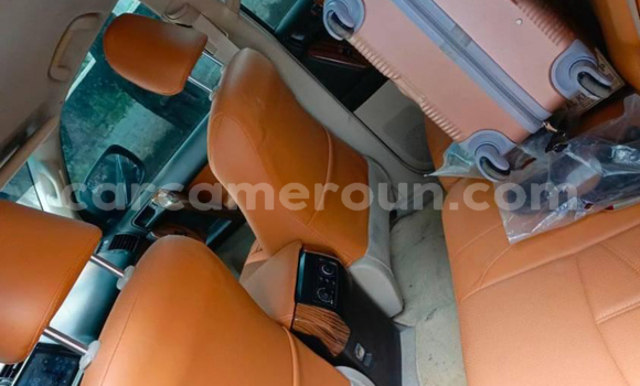 Buy New Toyota Prado Black Car in Yaounde in Central Cameroon Buy New Toyota Prado Black Car in Yaounde in Central Cameroon