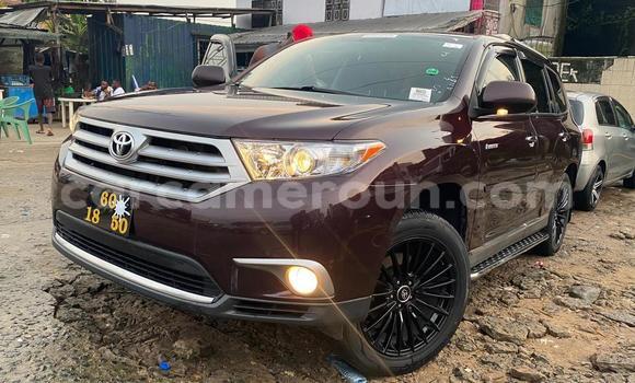 Buy Used Toyota Highlander Brown Car in Douala in Littoral Cameroon