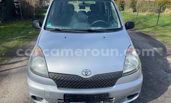 Buy New Toyota Verso Silver Car in Douala in Littoral Cameroon