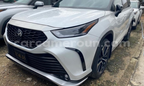 Buy New Toyota Highlander White Car in Douala in Littoral Cameroon
