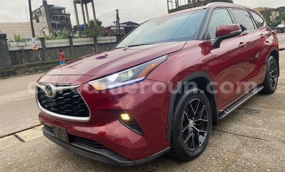 Buy Import Toyota Highlander Red Car in Douala in Littoral Cameroon