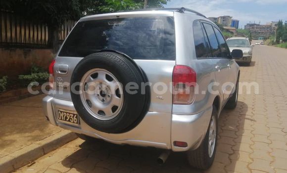 Buy Used Toyota RAV4 Silver Car in Yaounde in Central Cameroon Buy Used Toyota RAV4 Silver Car in Yaounde in Central Cameroon