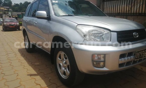 Buy Used Toyota RAV4 Silver Car in Yaounde in Central Cameroon Buy Used Toyota RAV4 Silver Car in Yaounde in Central Cameroon