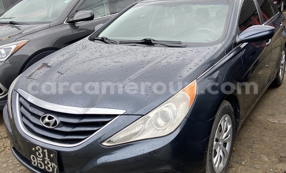 Buy Import Hyundai Sonata Blue Car in Douala in Littoral Cameroon