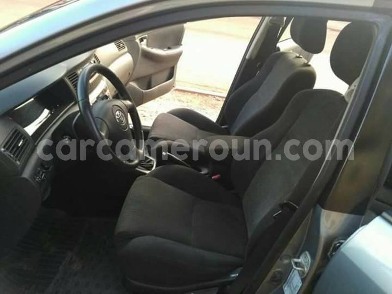 Big with watermark 30705011 1080215435450894 1812932972978896896 n