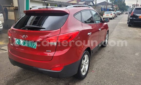 Acheter Import Voiture Hyundai Tucson Rouge à Douala, Littoral Cameroon Acheter Import Voiture Hyundai Tucson Rouge à Douala, Littoral Cameroon