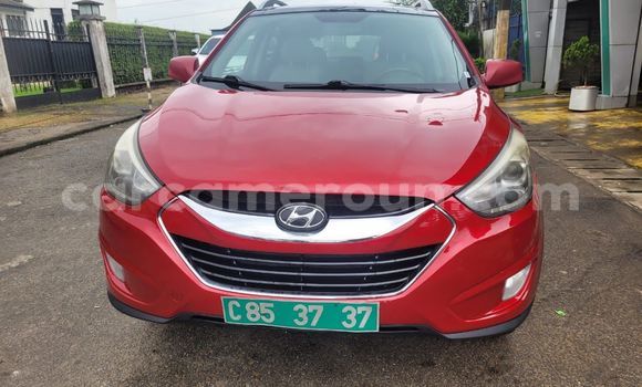 Acheter Import Voiture Hyundai Tucson Rouge à Douala, Littoral Cameroon Acheter Import Voiture Hyundai Tucson Rouge à Douala, Littoral Cameroon