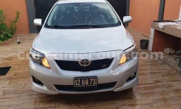 Buy Import Toyota Corolla Silver Car in Douala in Littoral Cameroon