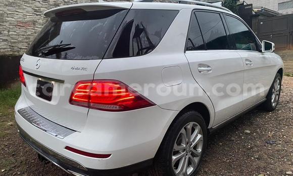 Sayi Imported Mercedes‒Benz GLE White Mota in Douala a Ƙasar Kamaru Sayi Imported Mercedes‒Benz GLE White Mota in Douala a Ƙasar Kamaru