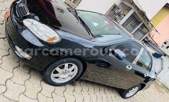 Sayi Na hannu Toyota Corolla Black Mota in Douala a Ƙasar Kamaru
