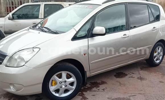 Buy Used Toyota Corolla Verso Silver Car in Douala in Littoral Cameroon