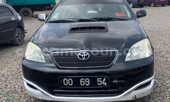Buy Used Toyota Corolla Black Car in Douala in Littoral Cameroon
