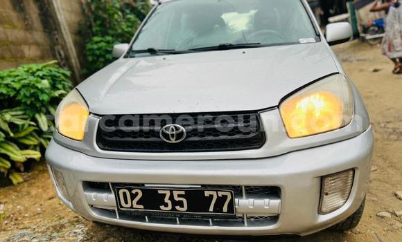 Buy Used Toyota RAV4 Silver Car in Douala in Littoral Cameroon Buy Used Toyota RAV4 Silver Car in Douala in Littoral Cameroon