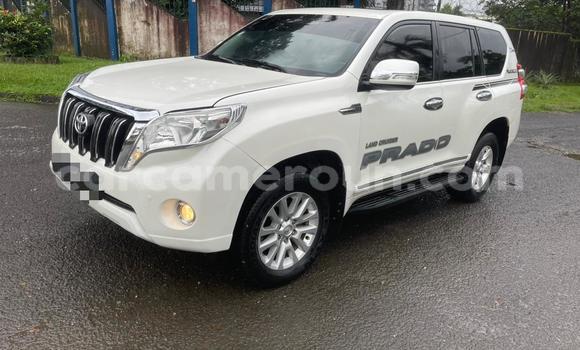 Acheter Neuf Voiture Toyota Prado Blanc à Douala, Littoral Cameroon