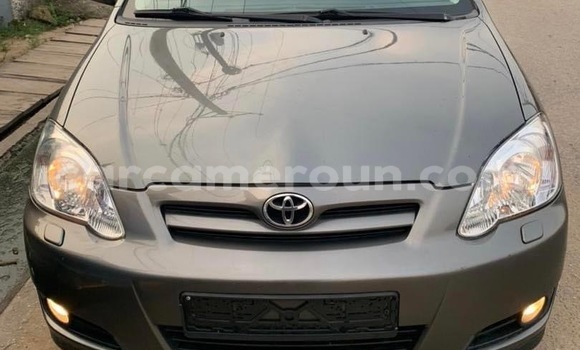 Acheter Occasion Voiture Toyota Corolla Gris à Douala, Littoral Cameroon Acheter Occasion Voiture Toyota Corolla Gris à Douala, Littoral Cameroon