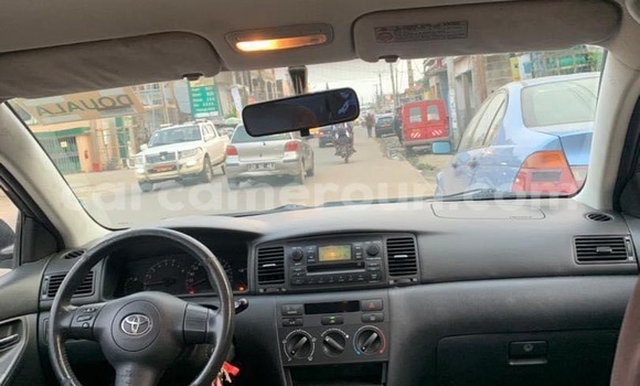 Acheter Occasion Voiture Toyota Corolla Gris à Douala, Littoral Cameroon Acheter Occasion Voiture Toyota Corolla Gris à Douala, Littoral Cameroon