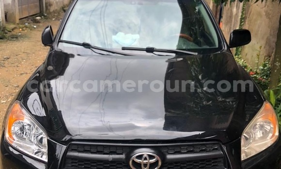 Acheter Import Voiture Toyota RAV4 Noir à Douala, Littoral Cameroon