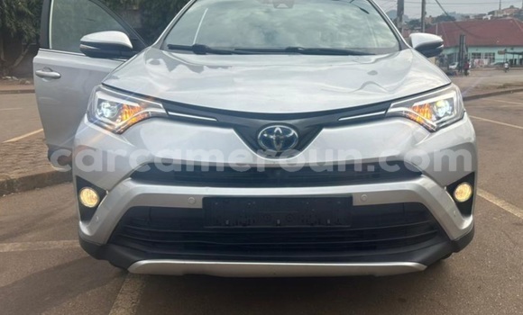 Buy Used Toyota RAV4 Silver Car in Yaounde in Central Cameroon