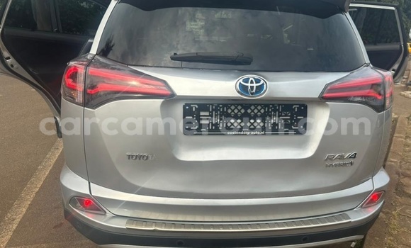 Acheter Occasion Voiture Toyota RAV4 Gris à Yaoundé, Central Cameroon Acheter Occasion Voiture Toyota RAV4 Gris à Yaoundé, Central Cameroon