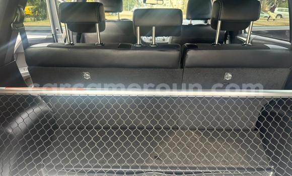 Acheter Occasion Voiture Toyota RAV4 Gris à Yaoundé, Central Cameroon Acheter Occasion Voiture Toyota RAV4 Gris à Yaoundé, Central Cameroon