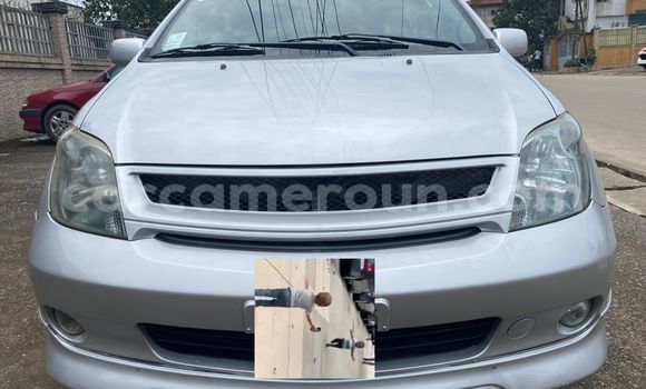 Acheter Occasion Voiture Toyota IST Gris à Douala, Littoral Cameroon Acheter Occasion Voiture Toyota IST Gris à Douala, Littoral Cameroon