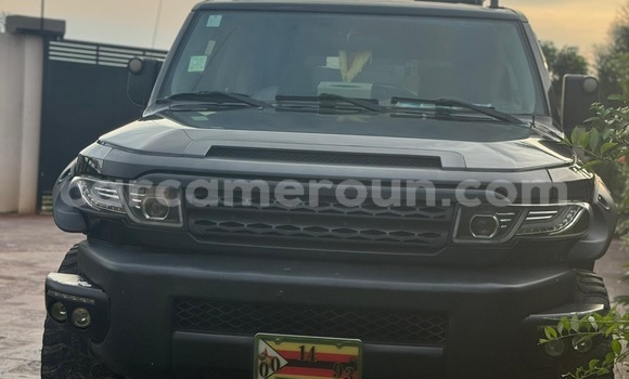 Buy Import Toyota FJ Cruiser Black Car in Douala in Littoral Cameroon