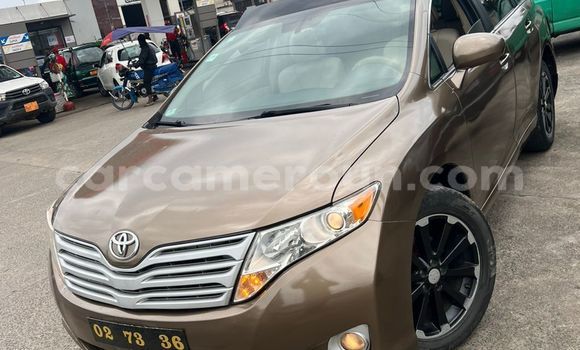 Buy Import Toyota Venza Beige Car in Douala in Littoral Cameroon Buy Import Toyota Venza Beige Car in Douala in Littoral Cameroon