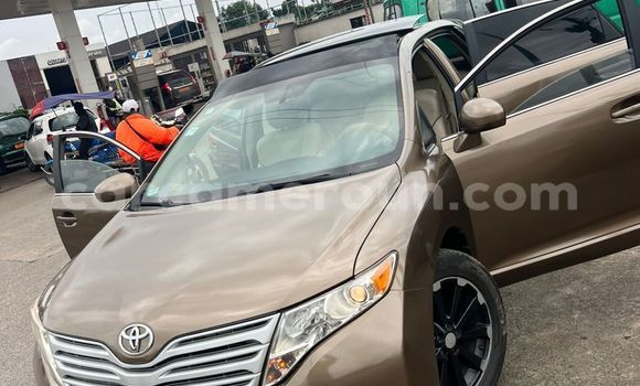 Buy Import Toyota Venza Beige Car in Douala in Littoral Cameroon Buy Import Toyota Venza Beige Car in Douala in Littoral Cameroon