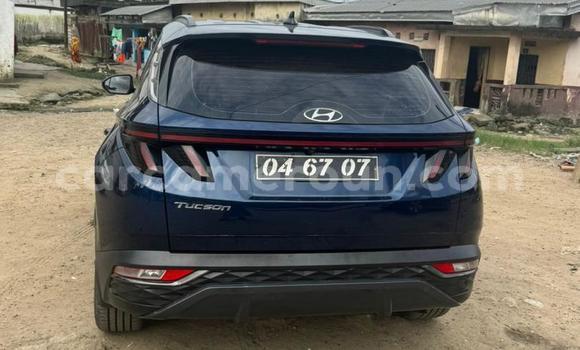 Buy Used Hyundai Tucson Blue Car in Douala in Littoral Cameroon