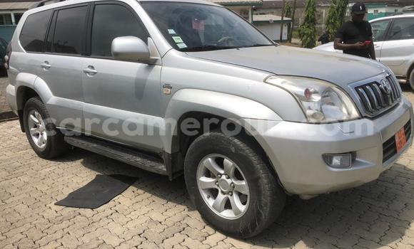 Acheter Occasion Voiture Toyota Land Cruiser Bleu à Douala, Littoral Cameroon