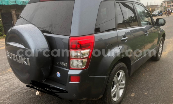 Acheter Occasion Voiture Suzuki Grand Vitara Gris à Douala, Littoral Cameroon