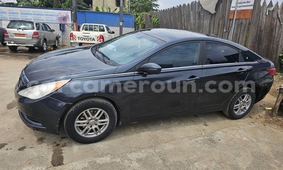 Buy Import Hyundai Sonata Blue Car in Douala in Littoral Cameroon Buy Import Hyundai Sonata Blue Car in Douala in Littoral Cameroon