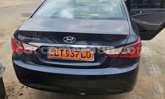 Buy Import Hyundai Sonata Blue Car in Douala in Littoral Cameroon Buy Import Hyundai Sonata Blue Car in Douala in Littoral Cameroon
