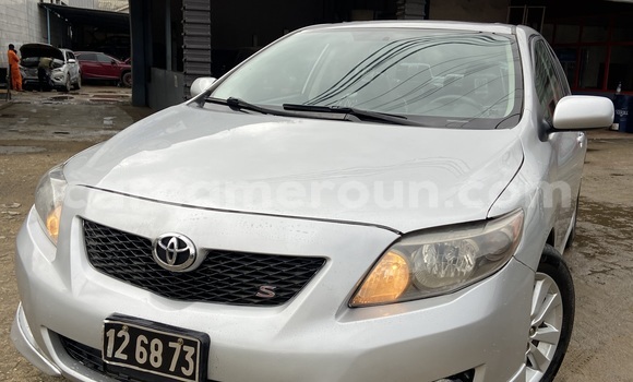 Sayi Imported Toyota Corolla Azurfa Mota in Douala a Ƙasar Kamaru