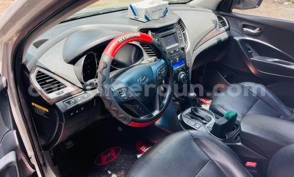 Buy Import Hyundai Santa Fe Silver Car in Douala in Littoral Cameroon Buy Import Hyundai Santa Fe Silver Car in Douala in Littoral Cameroon