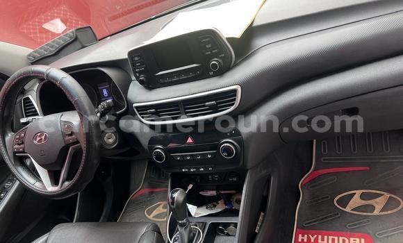 Acheter Occasion Voiture Hyundai Tucson Noir à Douala, Littoral Cameroon Acheter Occasion Voiture Hyundai Tucson Noir à Douala, Littoral Cameroon