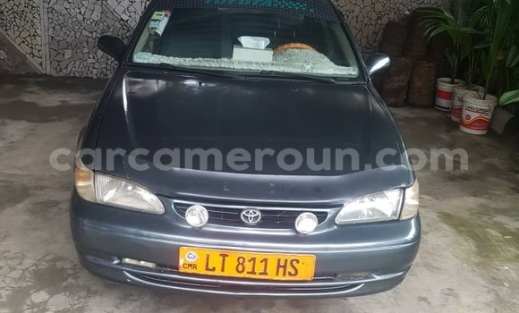 Sayi Na hannu Toyota Corolla Sauran Mota in Douala a Ƙasar Kamaru