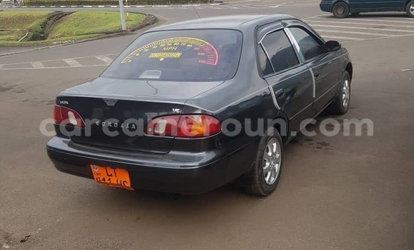 Sayi Na hannu Toyota Corolla Sauran Mota in Douala a Ƙasar Kamaru Sayi Na hannu Toyota Corolla Sauran Mota in Douala a Ƙasar Kamaru