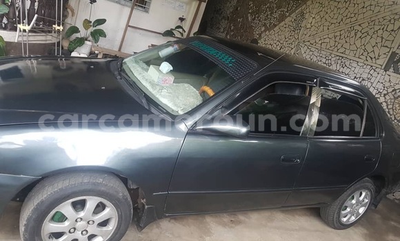 Sayi Na hannu Toyota Corolla Sauran Mota in Douala a Ƙasar Kamaru Sayi Na hannu Toyota Corolla Sauran Mota in Douala a Ƙasar Kamaru