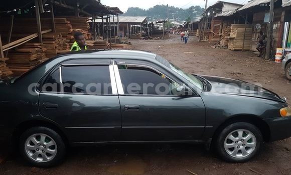 Sayi Na hannu Toyota Corolla Sauran Mota in Douala a Ƙasar Kamaru Sayi Na hannu Toyota Corolla Sauran Mota in Douala a Ƙasar Kamaru
