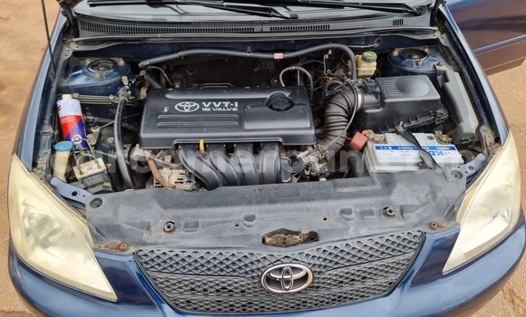 Buy New Toyota Corolla Blue Car in Yaounde in Central Cameroon Buy New Toyota Corolla Blue Car in Yaounde in Central Cameroon